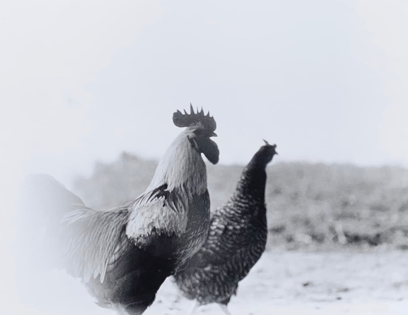 Film Photography